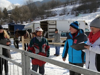 Gazdovské kone 2017-25