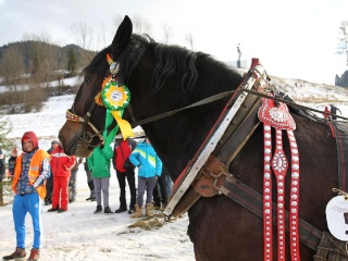 Gazdovské kone 2017-54