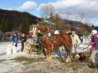 Gazdovské kone 2017-55