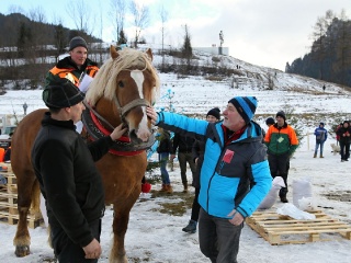 Gazdovské kone 2017-50