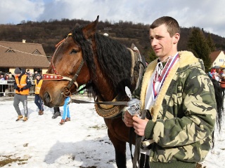 Gazdovské kone 2017-37