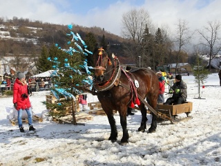 Gazdovské kone 2017-21
