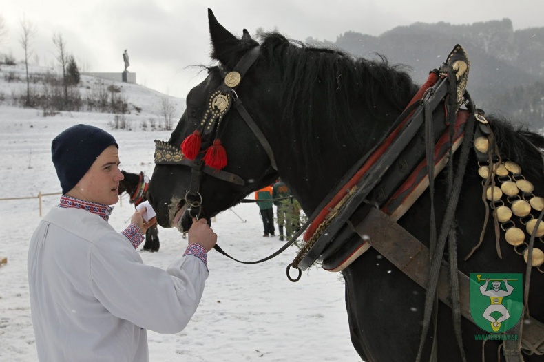 Gazdovské kone 2017-9