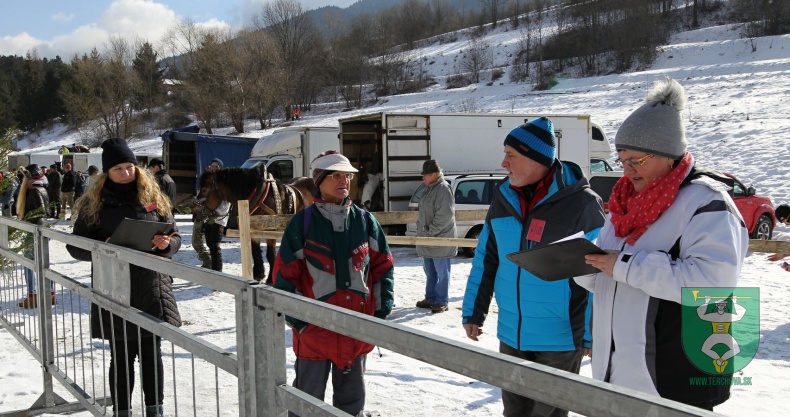 Gazdovské kone 2017-25