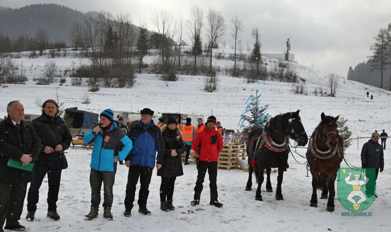 Gazdovské kone 2017-13