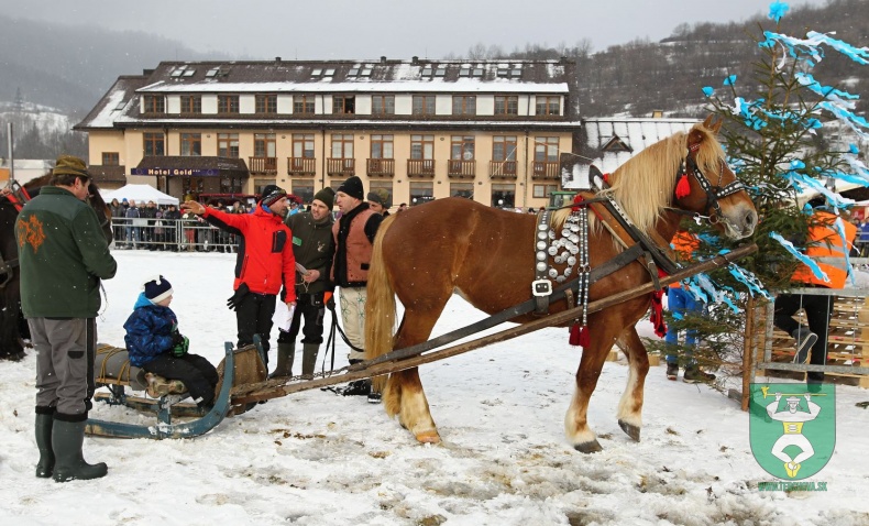 Gazdovské kone 2017-7