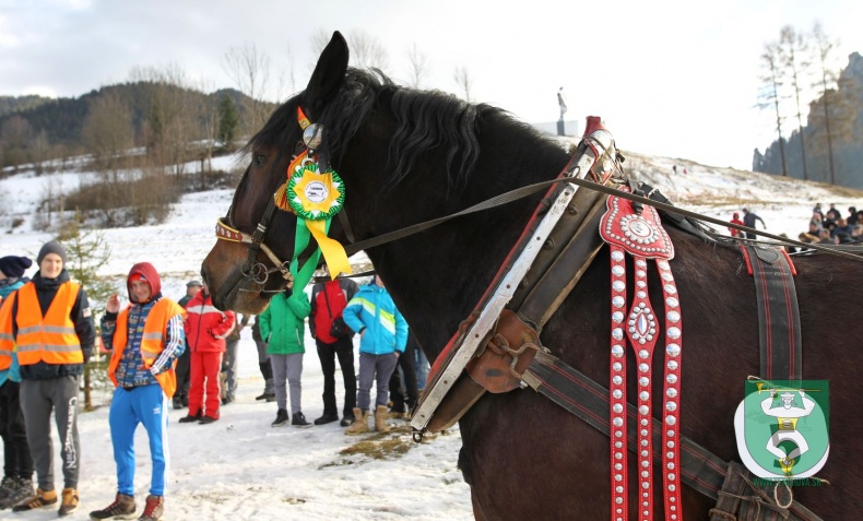 Gazdovské kone 2017-54