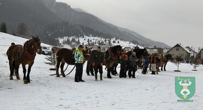 Gazdovské kone 2017-15