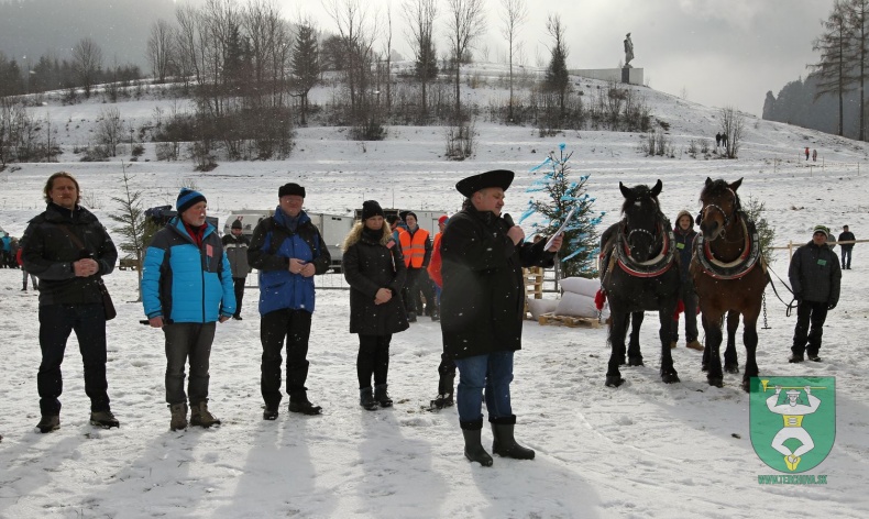 Gazdovské kone 2017-17