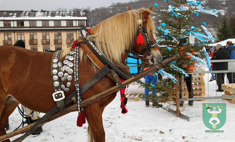 Gazdovské kone 2017-6