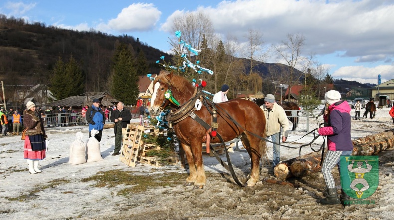 Gazdovské kone 2017-55