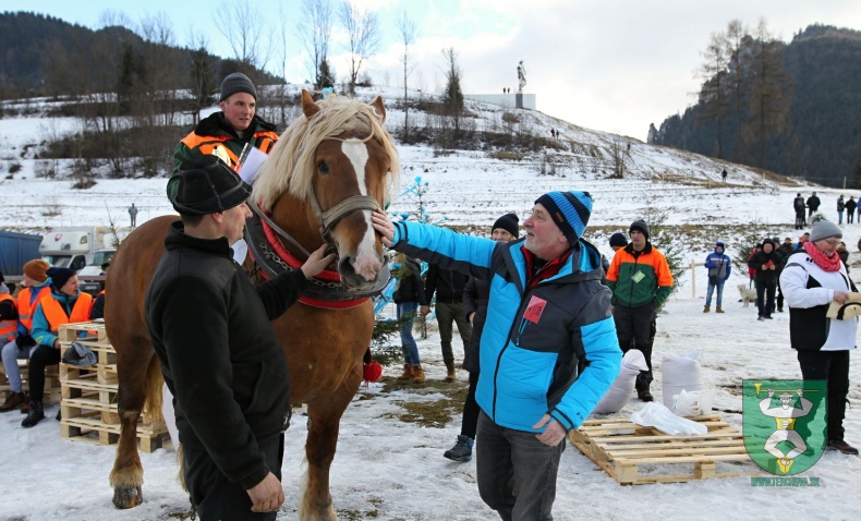 Gazdovské kone 2017-50