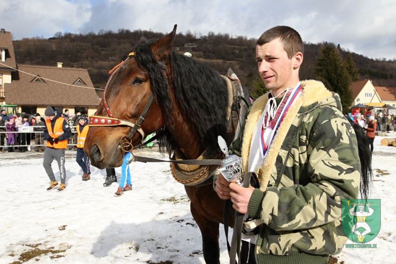 Gazdovské kone 2017-37