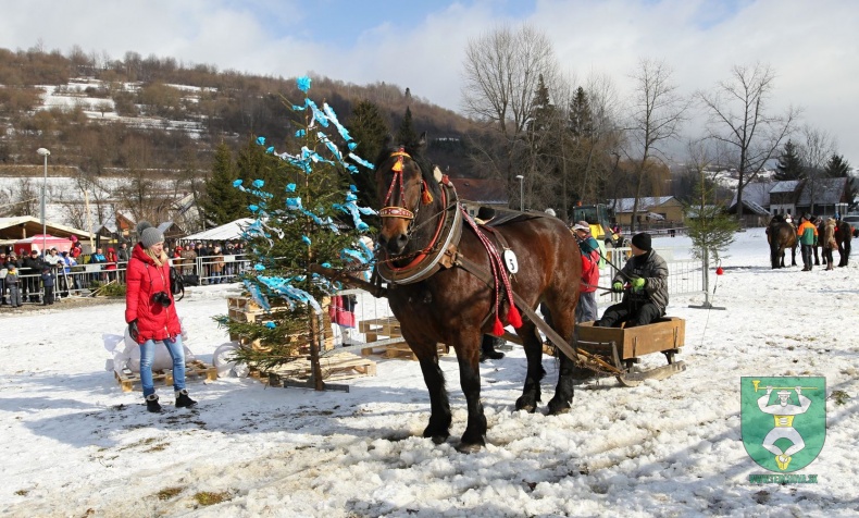 Gazdovské kone 2017-21