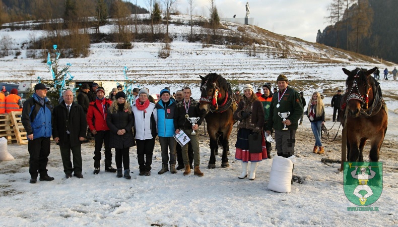 Gazdovské kone 2017-57