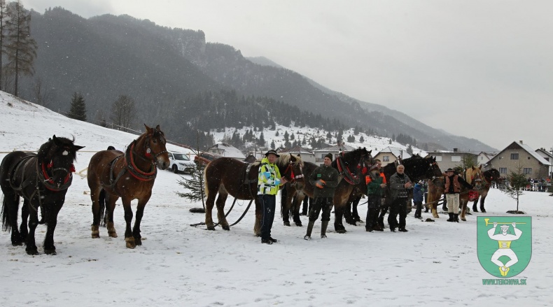 Gazdovské kone 2017-14