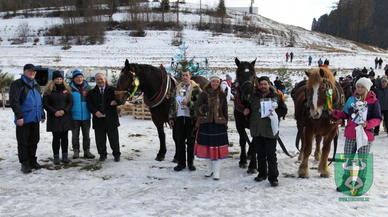 Gazdovské kone 2017-53
