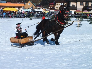 Gazdovské kone 2017-6