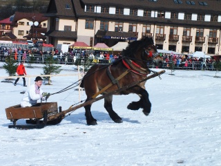Gazdovské kone 2017-7