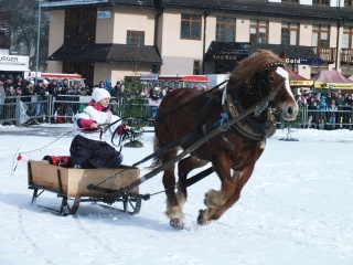 Gazdovské kone 2017-2