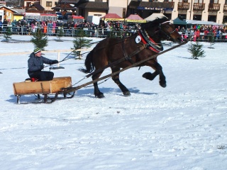 Gazdovské kone 2017-5