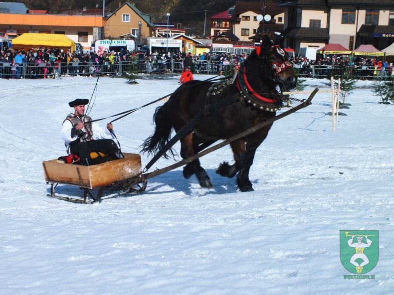 Gazdovské kone 2017-6