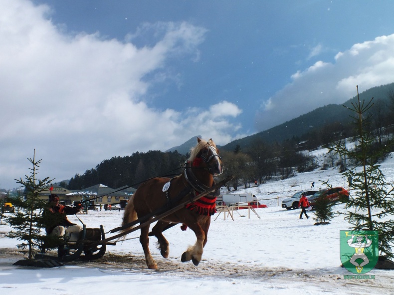 Gazdovské kone 2017-9