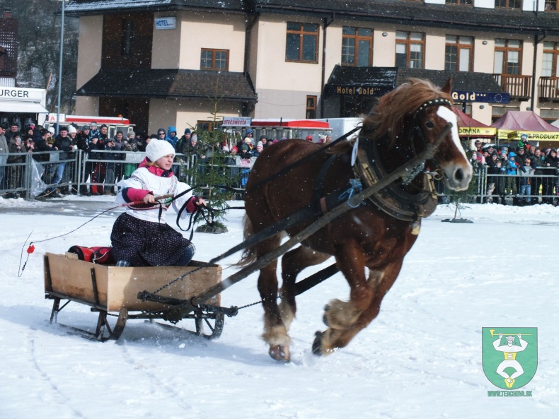 Gazdovské kone 2017-2