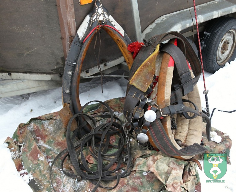 Preteky gazdovských koní 2018-106