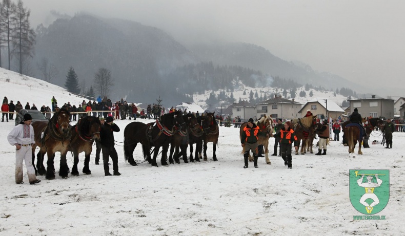 Preteky gazdovských koní 2018-120