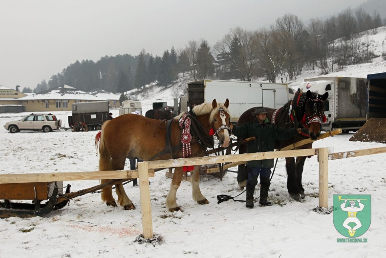 Preteky gazdovských koní 2018-39