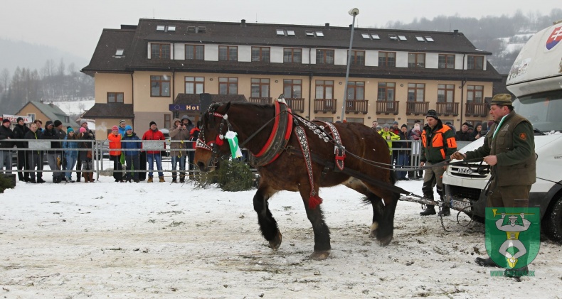 Preteky gazdovských koní 2018-194