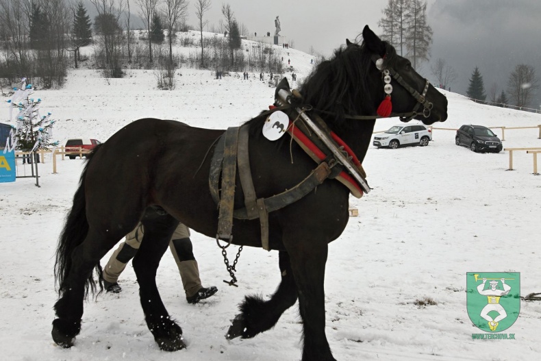 Preteky gazdovských koní 2018-59