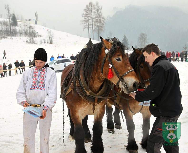Preteky gazdovských koní 2018-139