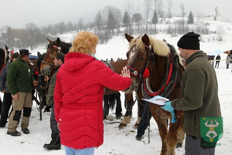 Preteky gazdovských koní 2018-137