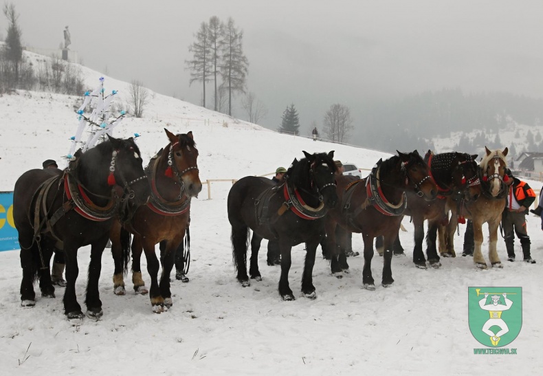Preteky gazdovských koní 2018-12