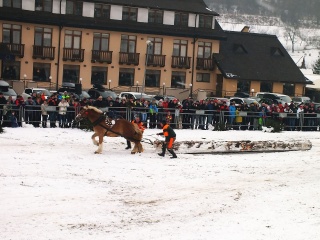 Preteky gazdovských koní 2018-23