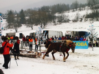 Preteky gazdovských koní 2018-21