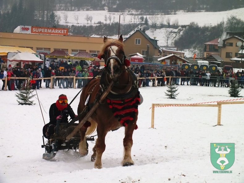 Preteky gazdovských koní 2018-5