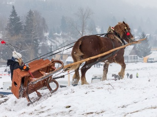 Preteky gazdovských koní 2018-11