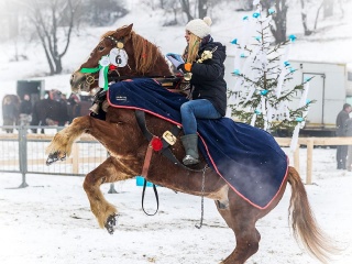 Preteky gazdovských koní 2018-28