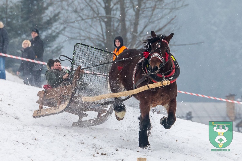 Preteky gazdovských koní 2018-19