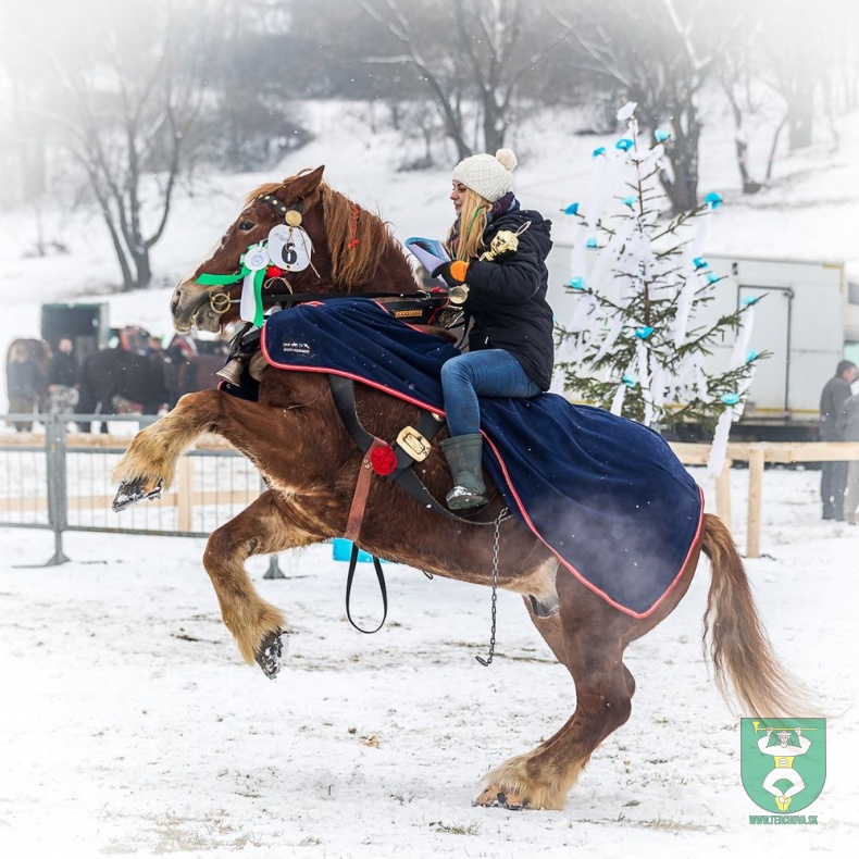 Preteky gazdovských koní 2018-28