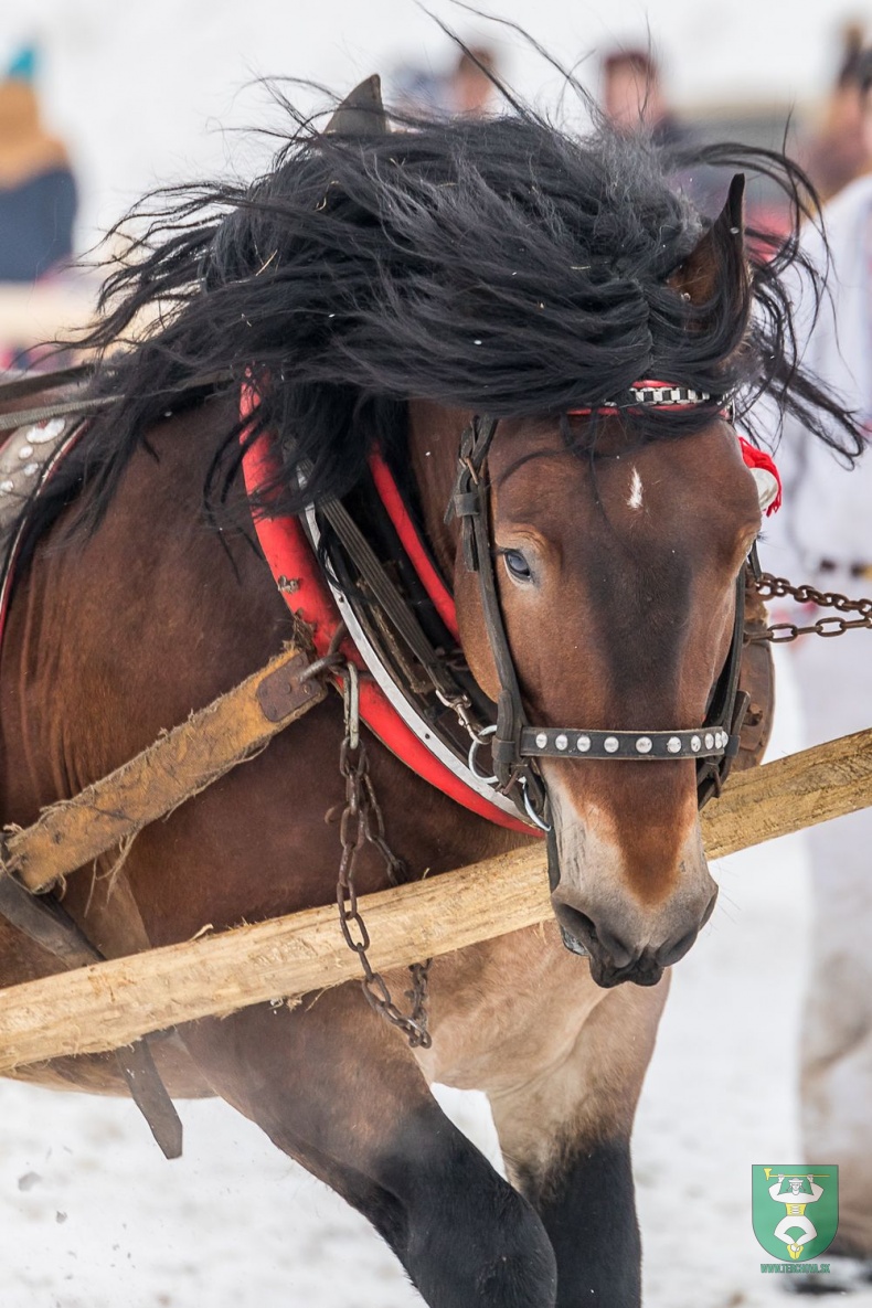 Preteky gazdovských koní 2018-24