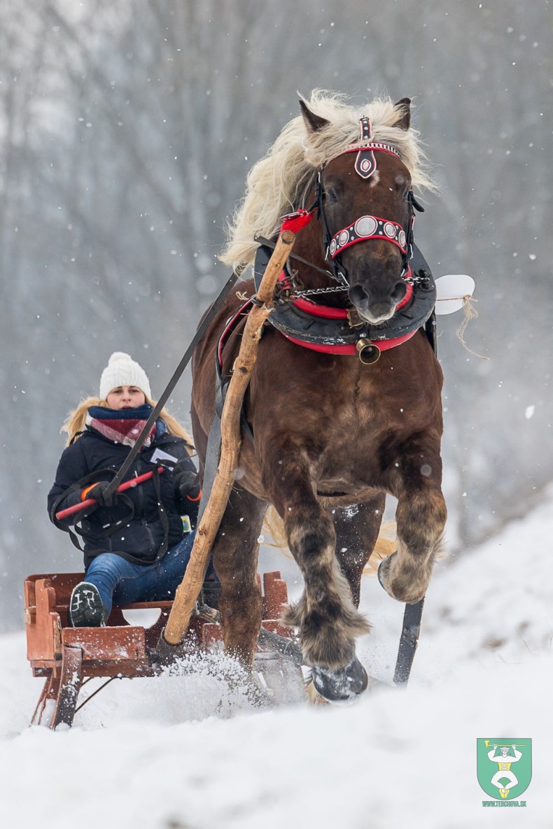Preteky gazdovských koní 2018-6