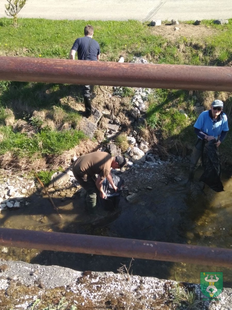 Vyčistime si Terchovú - brigáda 2018-7