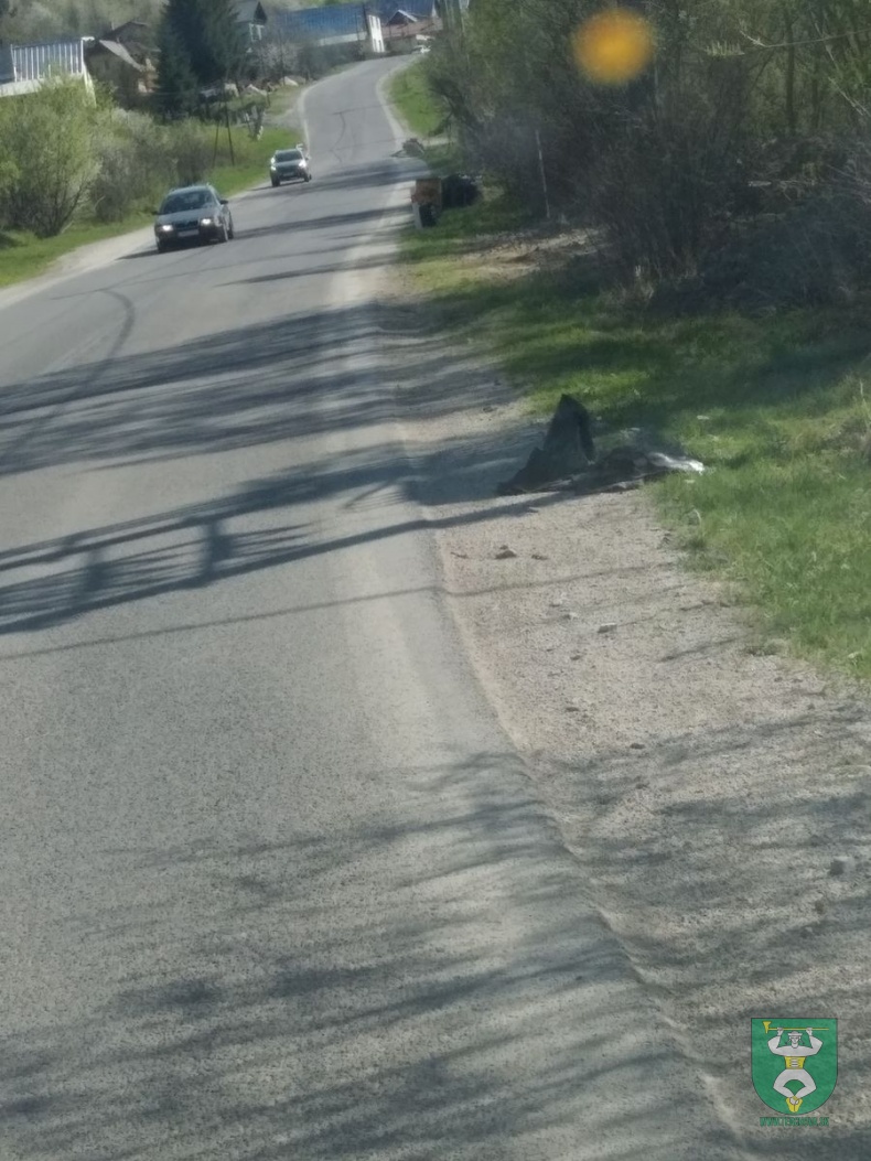 Vyčistime si Terchovú - brigáda 2018-9