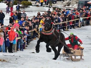Preteky gazdovských koní 2019-458