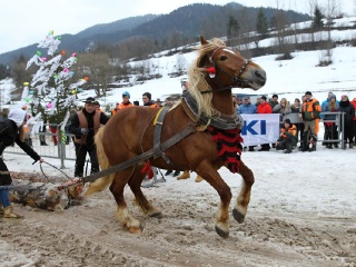 Preteky gazdovských koní 2019-354