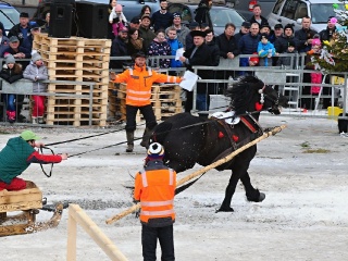 Preteky gazdovských koní 2019-464